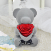Bear Rose Gifts Preserved Eternal Flowers Romantic Gift Decor