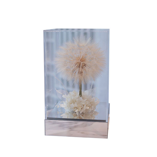 Dandelion Eternal Flowers Gift Box Home Decorative Ornaments