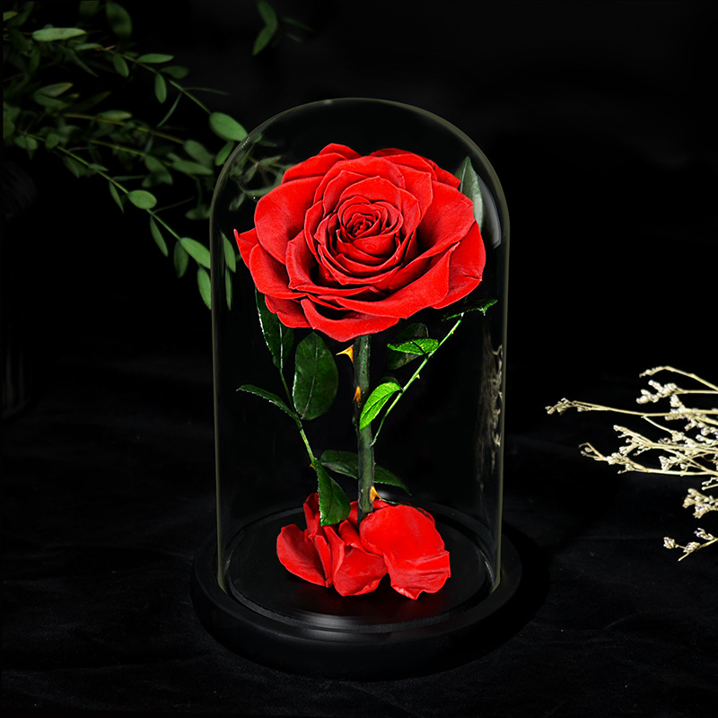 Eternal Enchanted Preserved Rose Gifts for Female