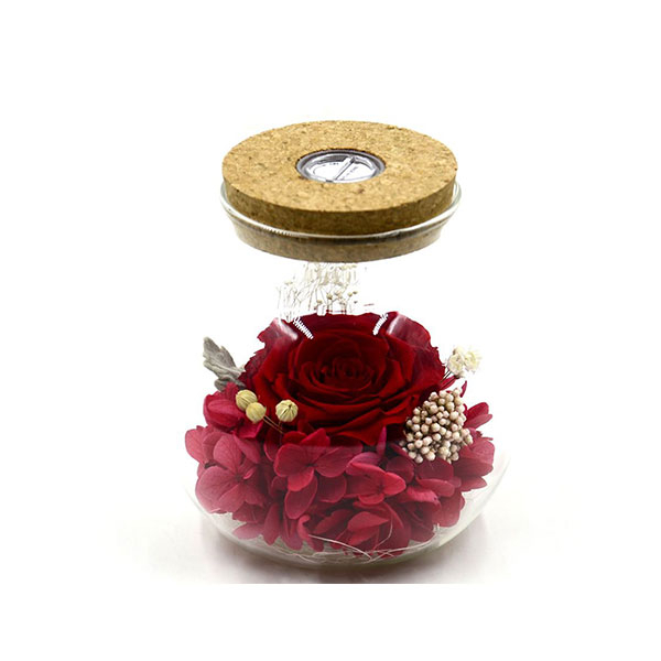 Preserved Real Roses Gift with Colorful Mood Light Home Decor
