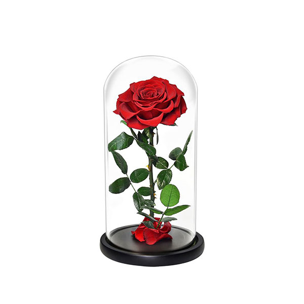 Eternal Enchanted Preserved Rose Gifts for Female