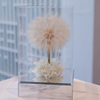 Dandelion Eternal Flowers Gift Box Home Decorative Ornaments