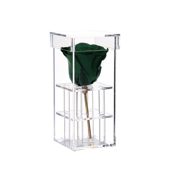 Preserved Rose in an Acrylic Box Gift for Her