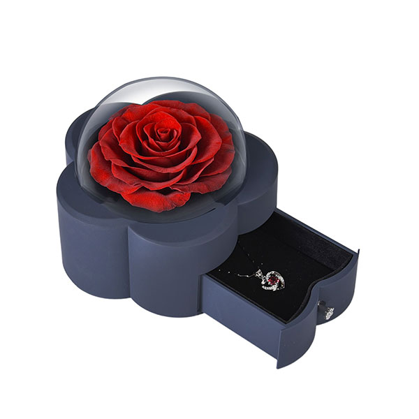 Preserved Red Rose with Silver Necklace Bonus Gifts for Women