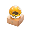 Real Sunflower in Glass Forever Flower Gift for Women