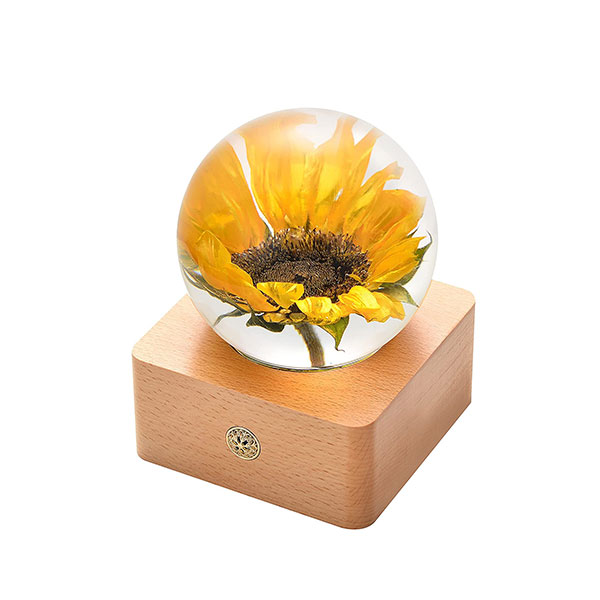 Real Sunflower in Glass Forever Flower Gift for Women