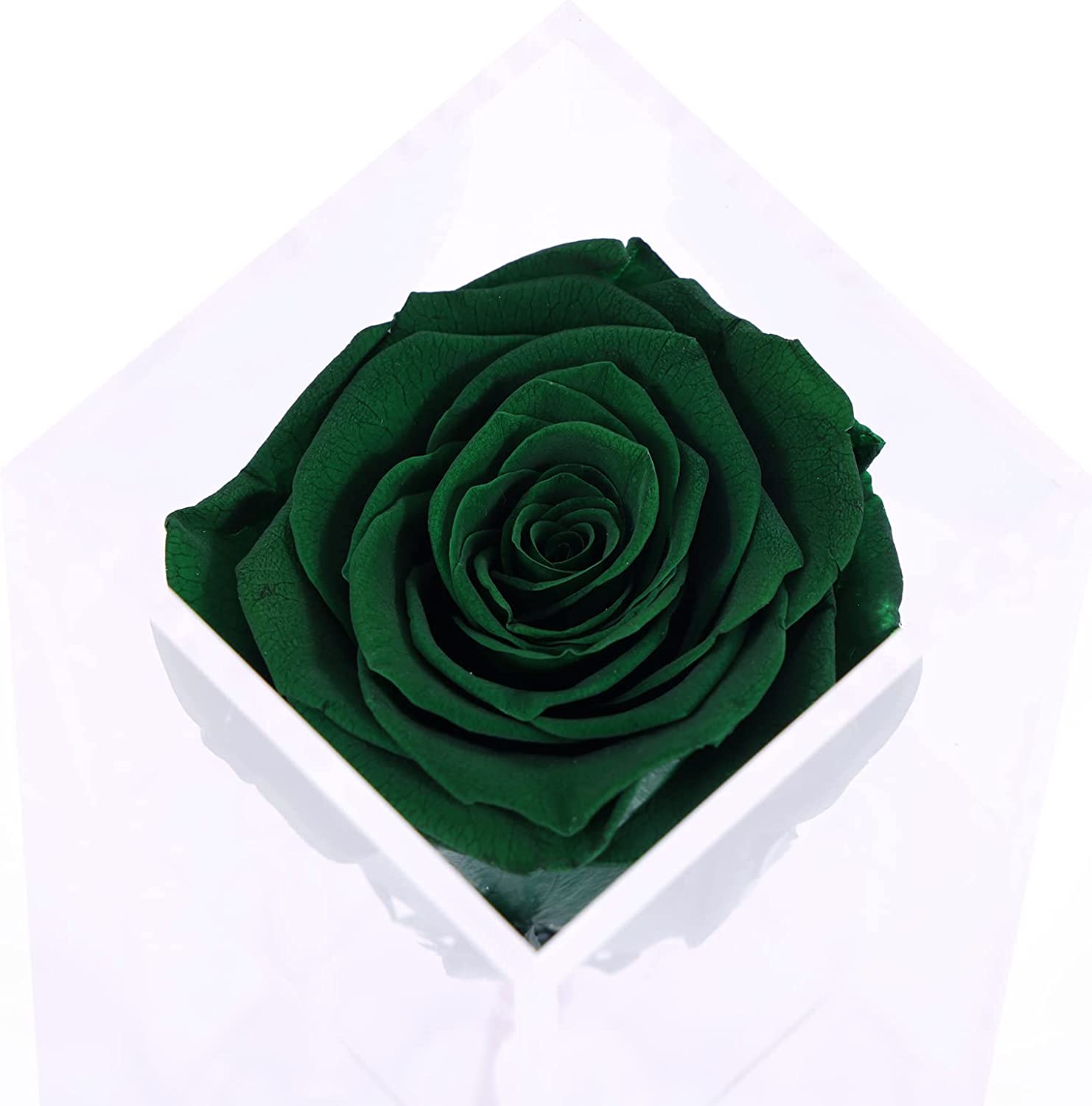 Preserved Rose in an Acrylic Box Gift for Her