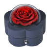 Preserved Red Rose with Silver Necklace Bonus Gifts for Women