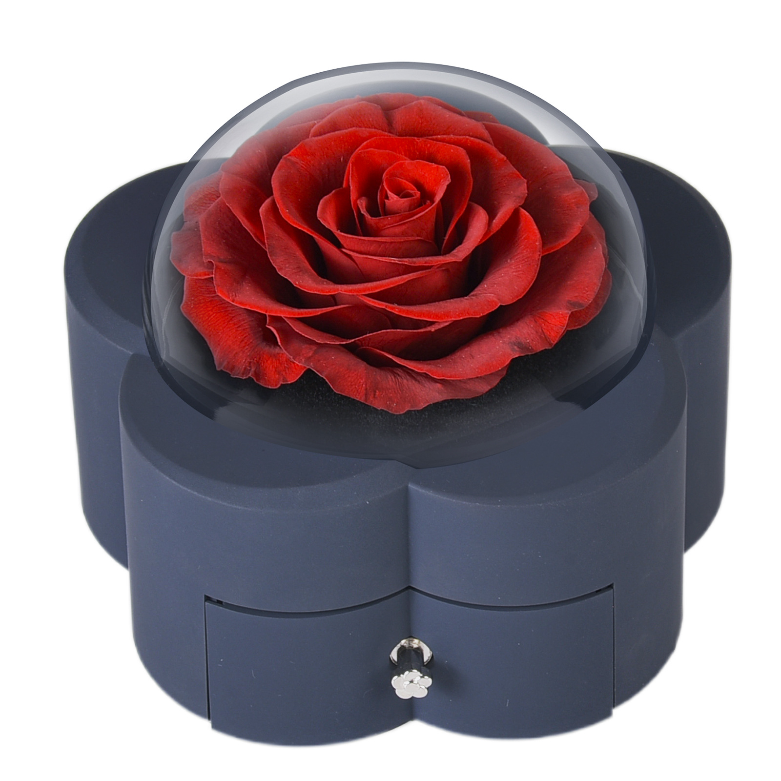 Preserved Red Rose with Silver Necklace Bonus Gifts for Women