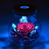 Preserved Real Roses Gift with Colorful Mood Light Home Decor