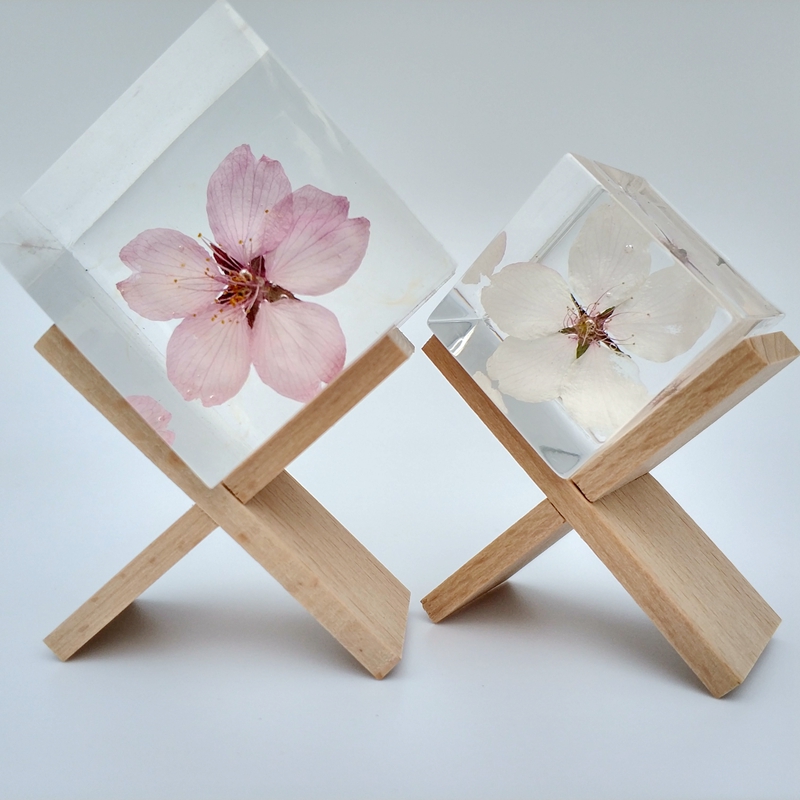 Plant Specimen Glass Decoration