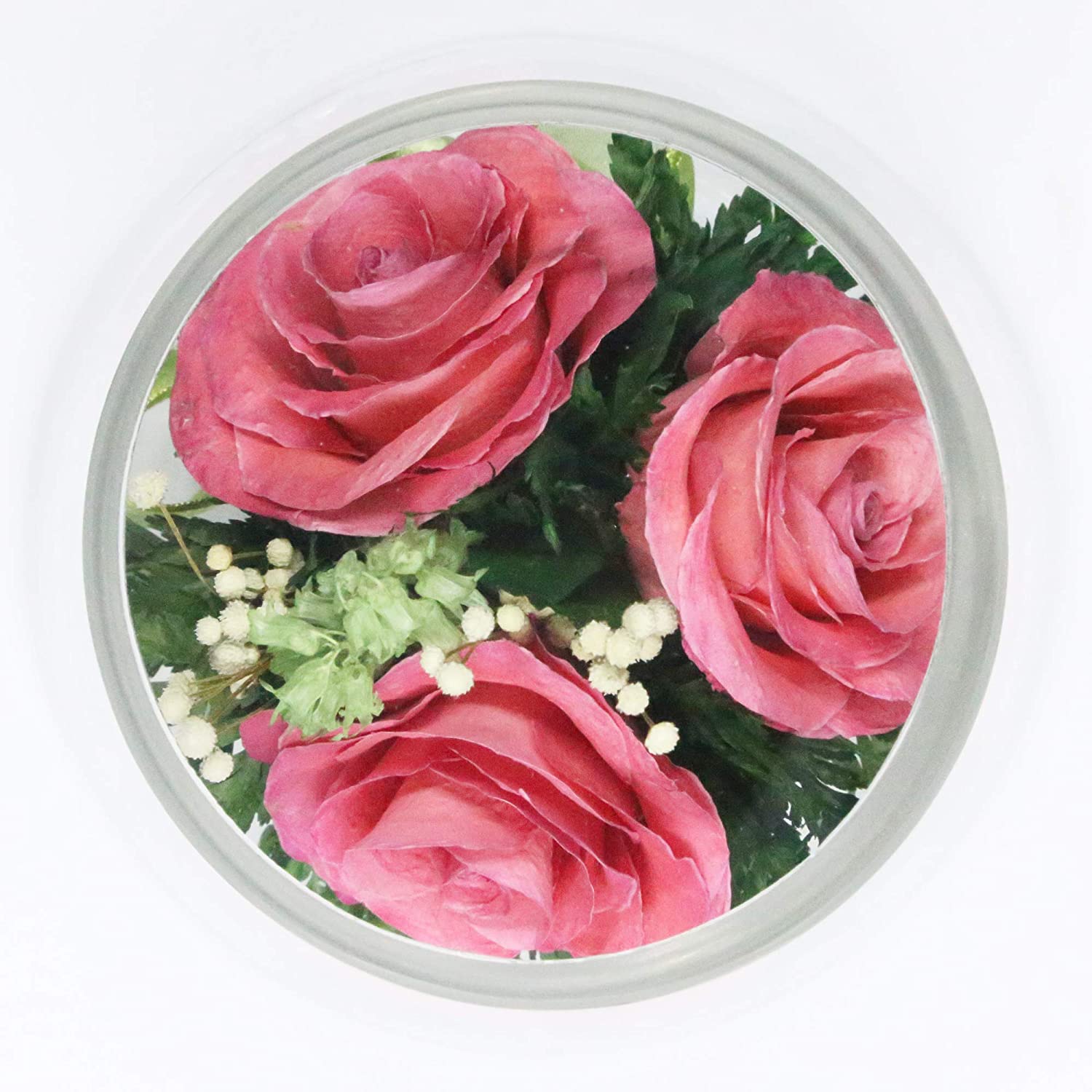 Forever Flower in a Sealed Glass Vase