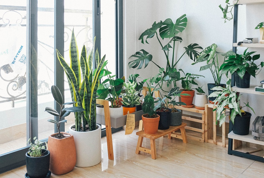 home decor
