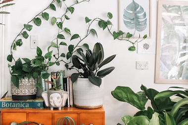 7 Types Of Wall Decor You Can Use In Your Home