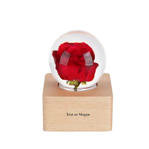 Lasting Real Rose Resin Ball Lamp 