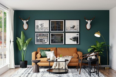What are the types of decorative