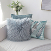 Plush Soft Concise Style Throw Pillow