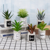Artificial Succulent Fake Aloe Potted Plant Home Office Table Decor