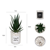Artificial Succulent Fake Aloe Potted Plant Home Office Table Decor
