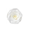 Whiter