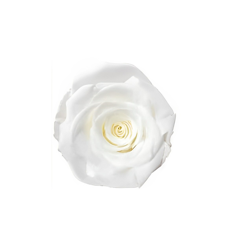 Whiter