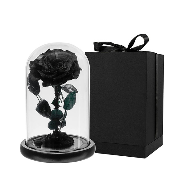 Preserved Real Rose in Glass Dome Gift for Her