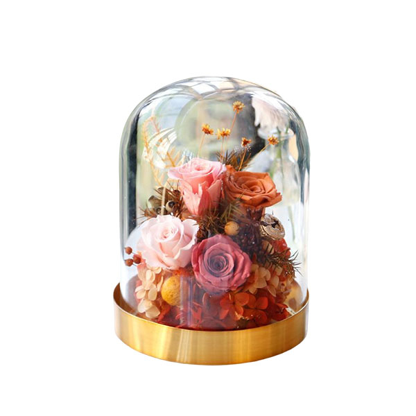 Eternal Preserved Rose in Glass Dome Forever Roses Gifts for Her