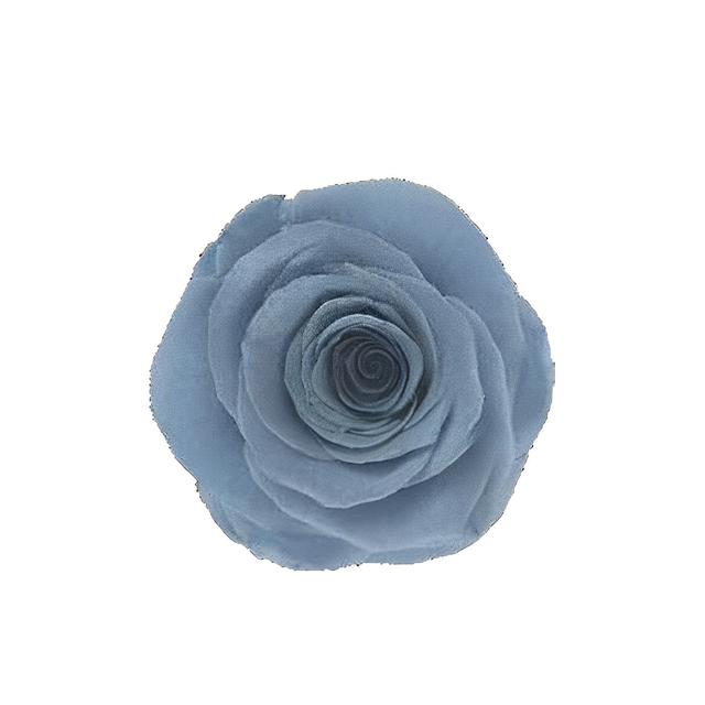 Dusty Blue
