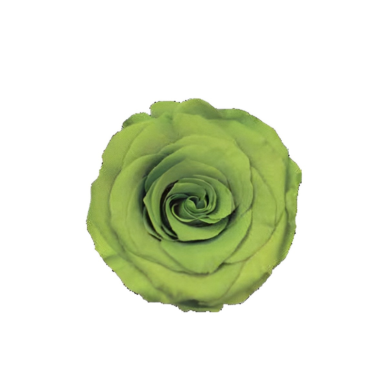 Yellow Green
