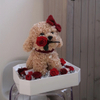 Eternal Flower Teddy Dog Ornaments