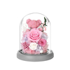 Preserved Pink Rose and Moss Bear in Glass Dome Gifts for Her