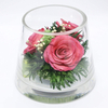Forever Flower in a Sealed Glass Vase
