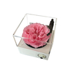 Immortal Rose Bluetooth Phonograph