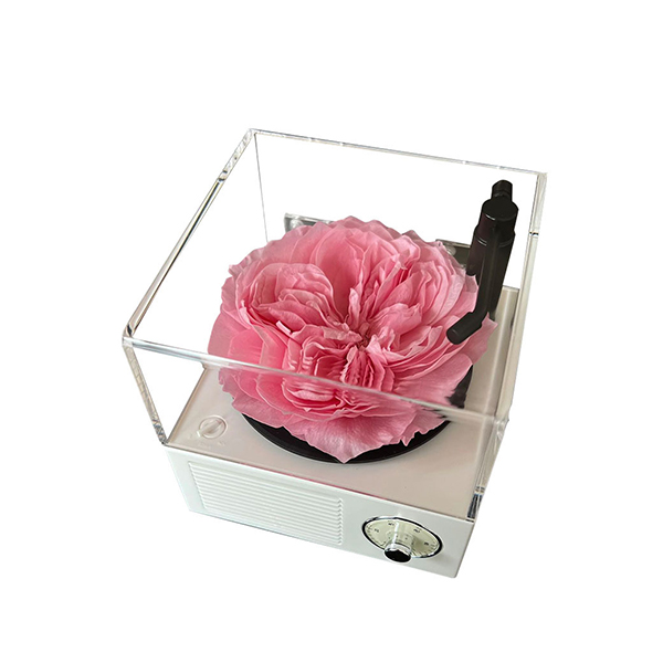Immortal Rose Bluetooth Phonograph