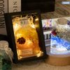 Rose Botanical Specimens Glass Bottles