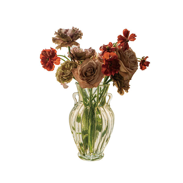 Double Ear Clear Glass Vase