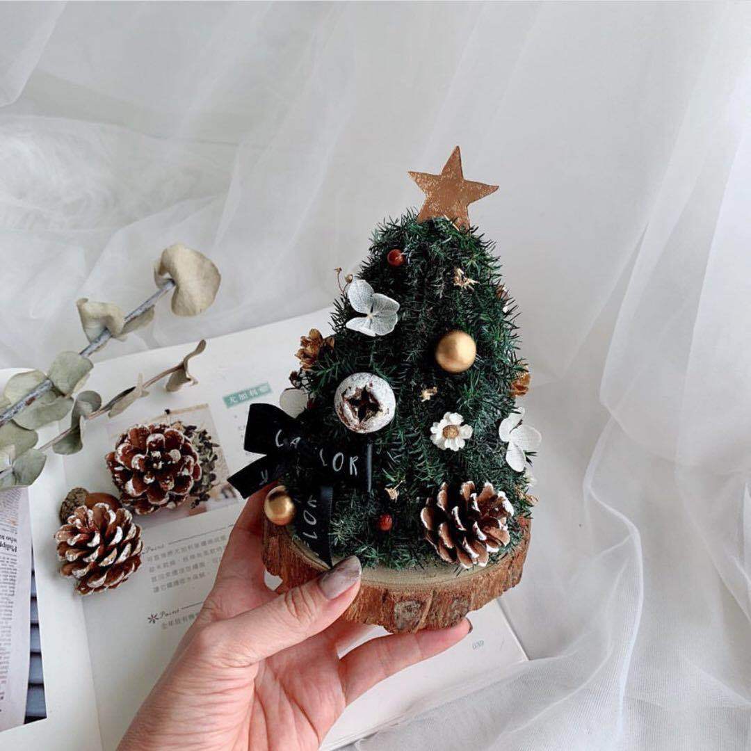 Tabletop Mini Christmas Tree Holiday Season Decorations