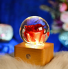 Lasting Real Rose Resin Ball Lamp 