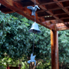 Hummingbird Wind Chimes for Outside Japanese Style Garden Decor 
