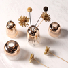 Creative Golden Gradient Glass Vase