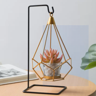 Planted Tank with Stand