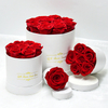 Preserved Rose Eternal Flowers Box Gift for Her