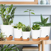 Garden Plant Pots with Drainage Holes 