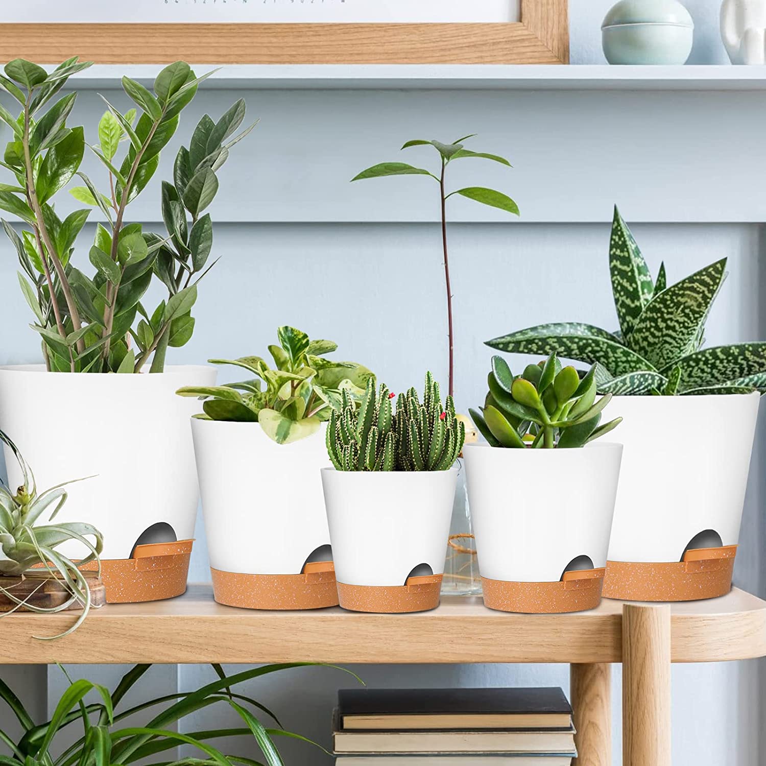 Garden Plant Pots with Drainage Holes 