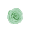 Sea Green