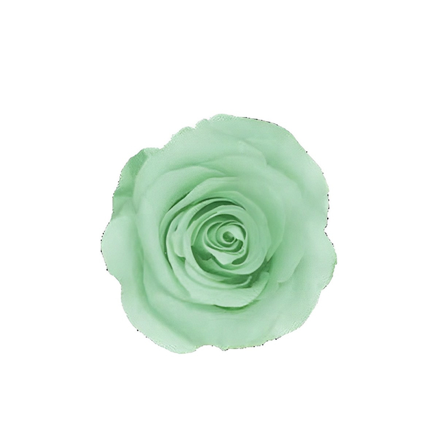 Sea Green