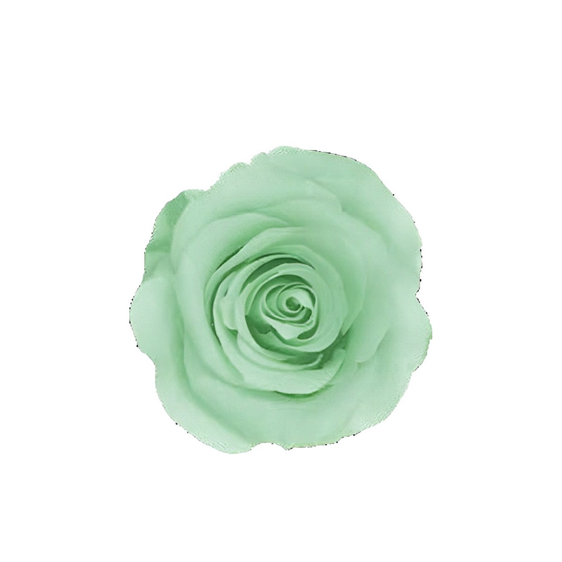 Sea Green