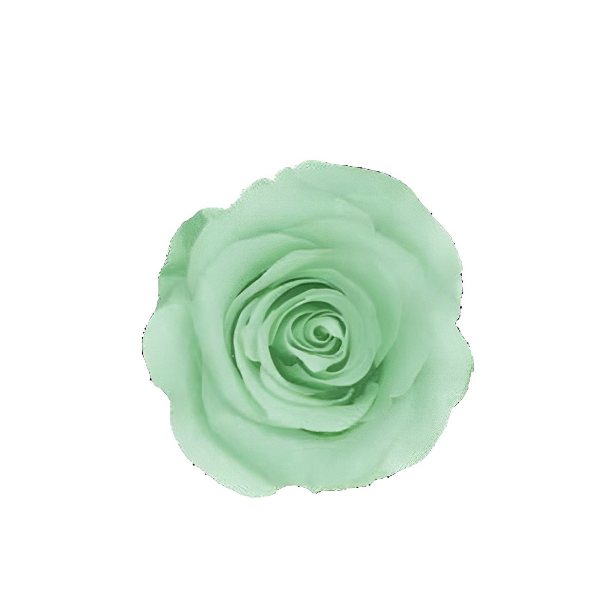 Sea Green