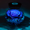 Eternal Roses with Colorful Mood Light