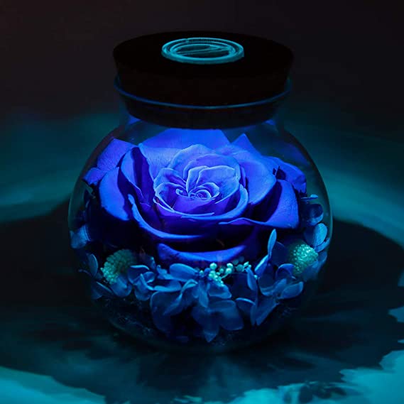 Eternal Roses with Colorful Mood Light